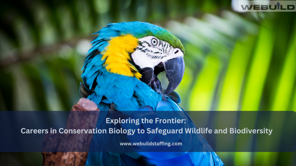 exploring-the-frontier:-careers-in-conservation-biology-to-safeguard-wildlife-and-biodiversity