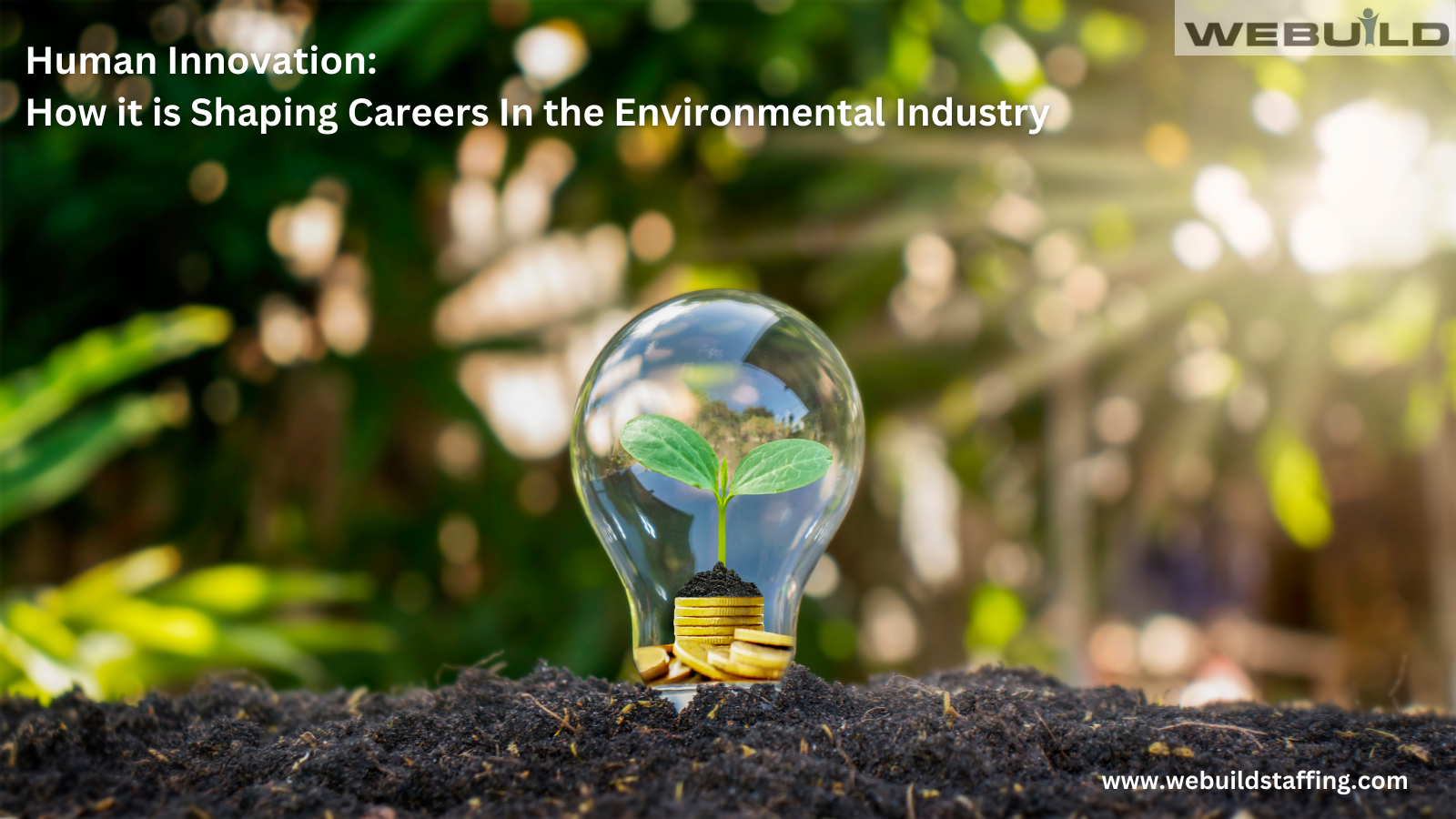 human-innovation:-how-it-is-shaping-the-environmental-industry