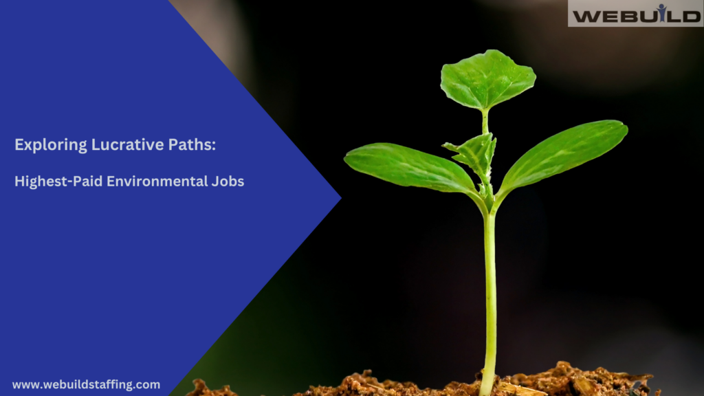 exploring-lucrative-paths:-highest-paid-environmental-jobs